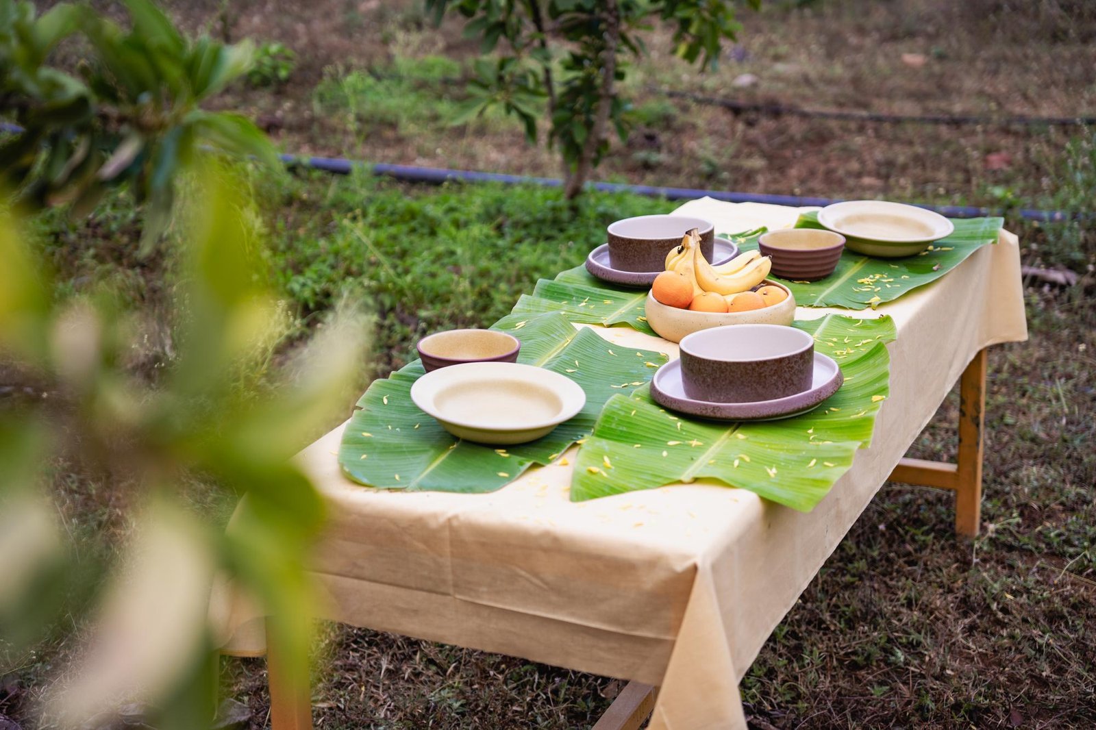 Nugu bowls and plates in plum and cream on banana leaves, with oranges and bananas